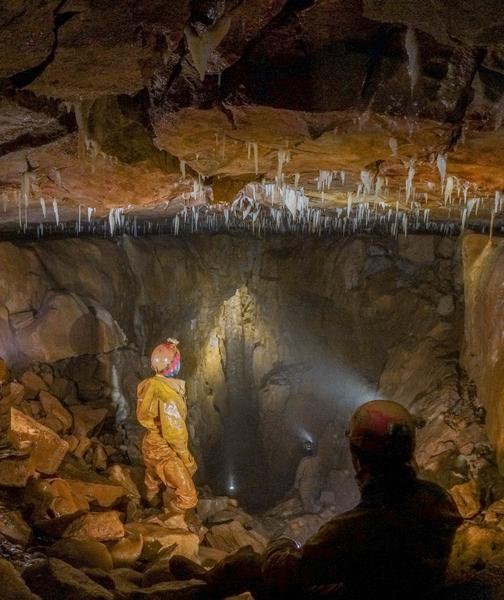 Thumbnail of photo from this article